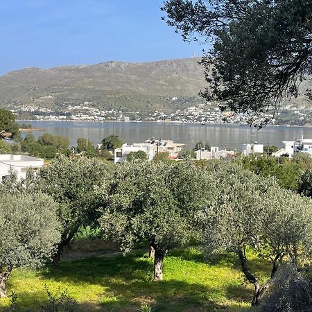The Velanidies - Οι Βελανιδιές Agia Marina  Exterior foto