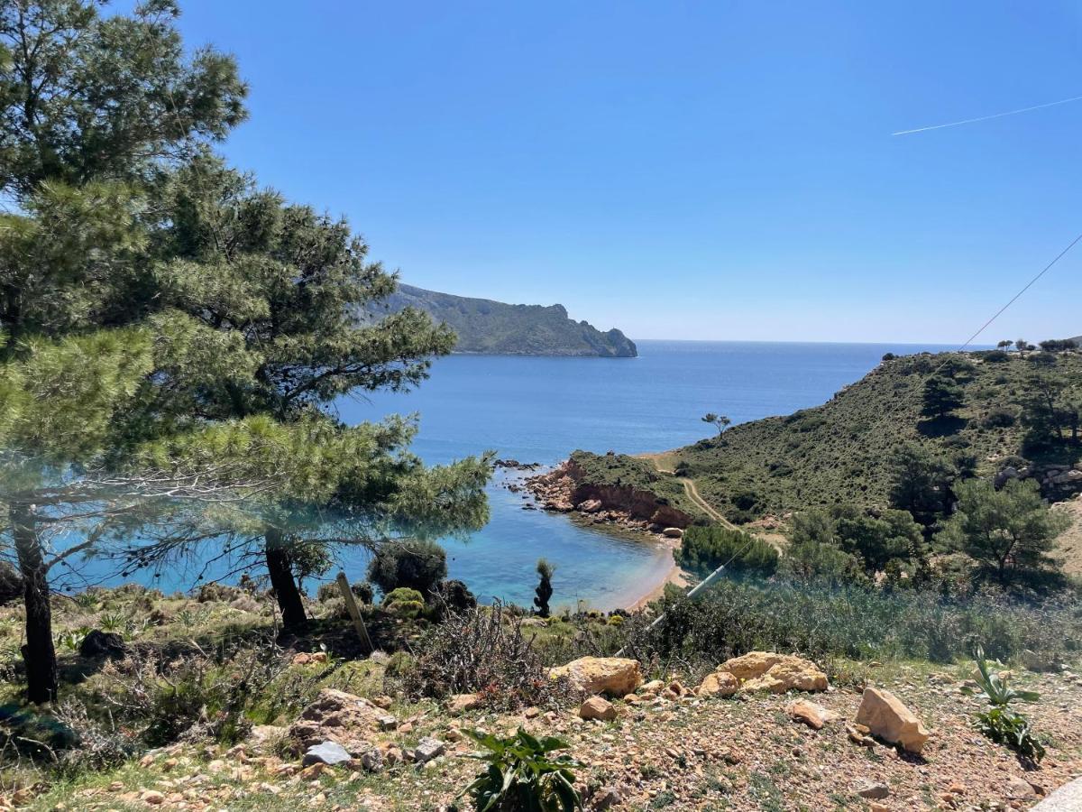 The Velanidies - Οι Βελανιδιές Agia Marina  Exterior foto