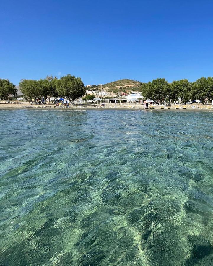 The Velanidies - Οι Βελανιδιές Agia Marina  Exterior foto
