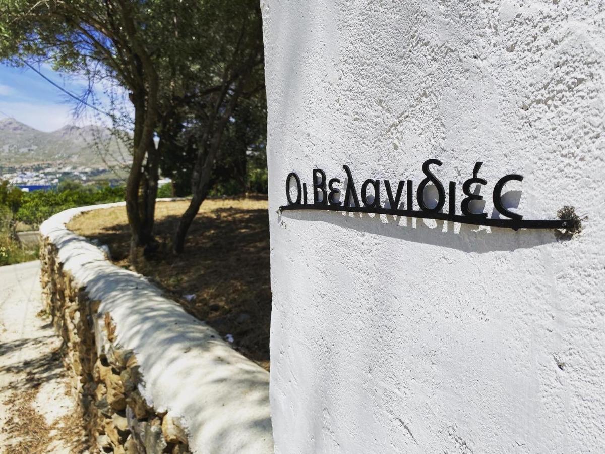 The Velanidies - Οι Βελανιδιές Agia Marina  Exterior foto
