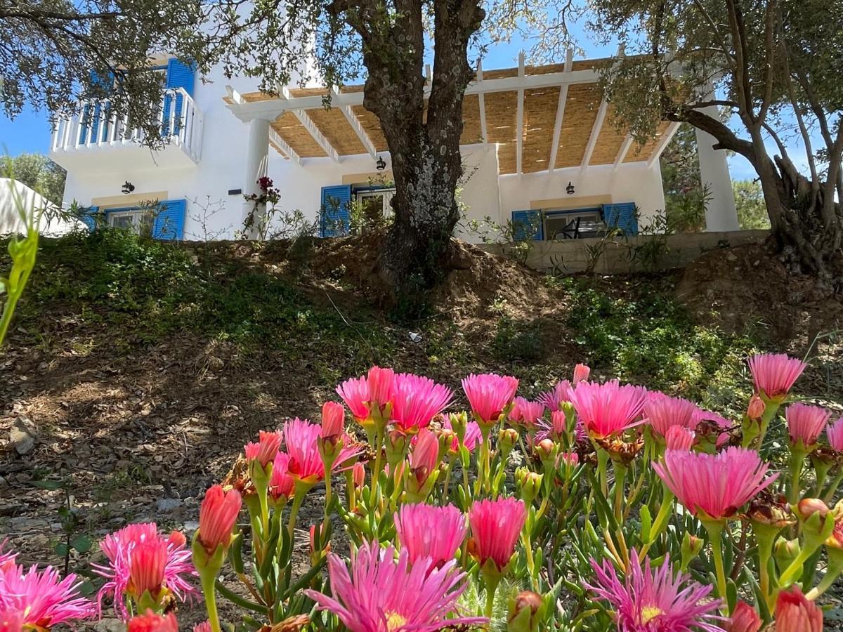 The Velanidies - Οι Βελανιδιές Agia Marina  Exterior foto