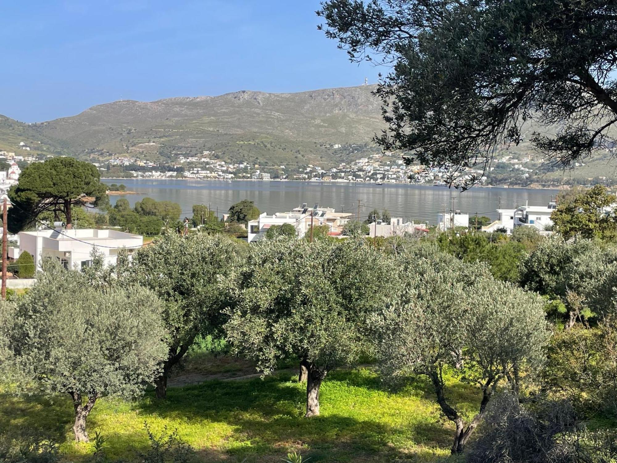 The Velanidies - Οι Βελανιδιές Agia Marina  Exterior foto